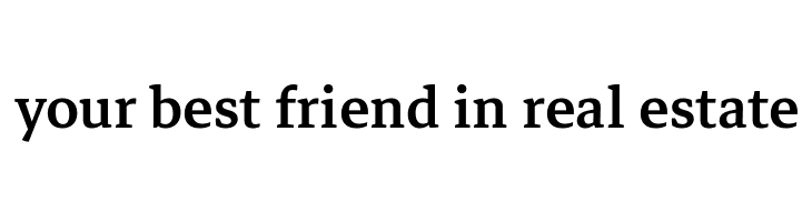 Markazi Text Medium  Free Fonts Download