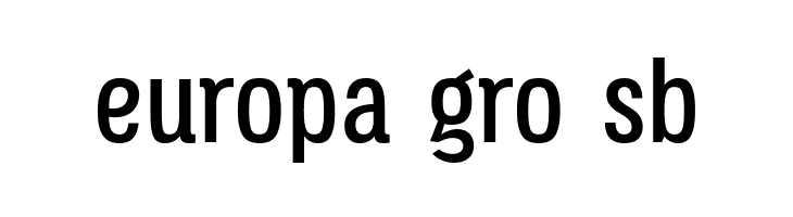 Octagen Roman Roman  Free Fonts Download