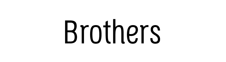 OctagenLight  Free Fonts Download