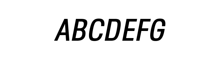 Octagen Roman Roman Italic  Free Fonts Download