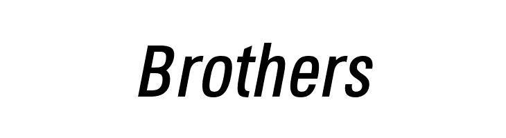 Octagen Roman Roman Italic  Free Fonts Download