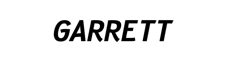 Fantasque Sans Mono Bold Italic  Free Fonts Download