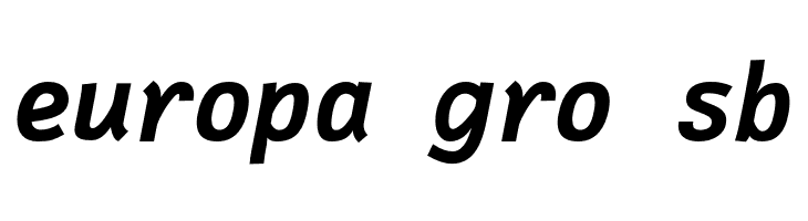 Fantasque Sans Mono Bold Italic  Free Fonts Download