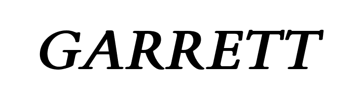 FlankerGriffo-BoldItalic  Free Fonts Download