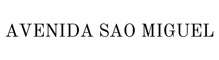 NewStandard  Free Fonts Download