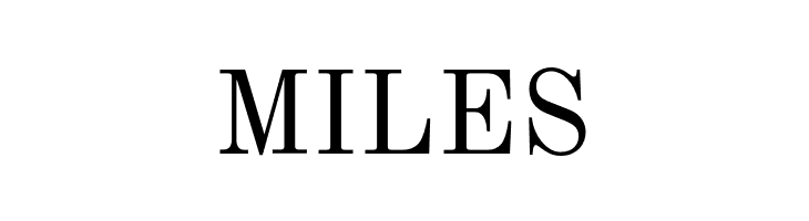 NewStandard  Free Fonts Download