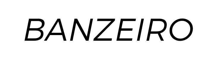 Argentum Sans Light Italic  Free Fonts Download