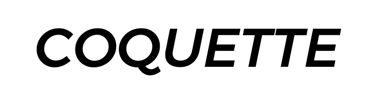 Argentum Sans Medium Italic  Free Fonts Download