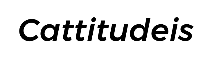 Argentum Sans Medium Italic  Free Fonts Download