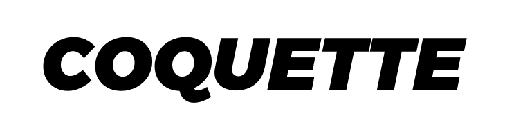 Argentum Sans Black Italic  Free Fonts Download