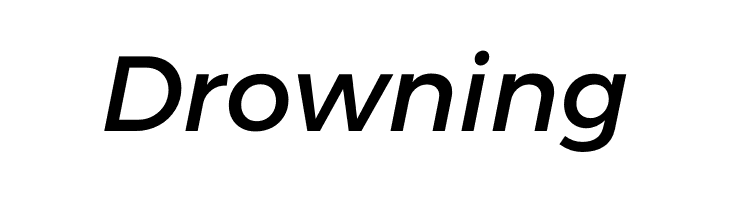 Argentum Sans Italic  Free Fonts Download