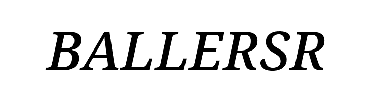 Avrile Serif Medium Italic  Free Fonts Download