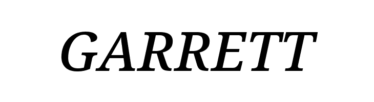 Avrile Serif Medium Italic  Free Fonts Download