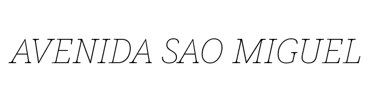 Avrile Serif Thin Italic  Free Fonts Download