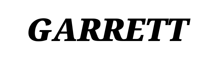 Avrile Serif Black Italic  Free Fonts Download