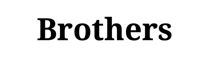 Avrile Serif Bold  Free Fonts Download