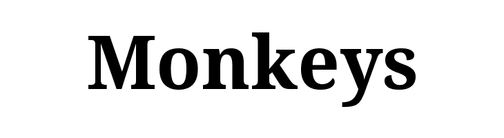 Avrile Serif Bold  Free Fonts Download