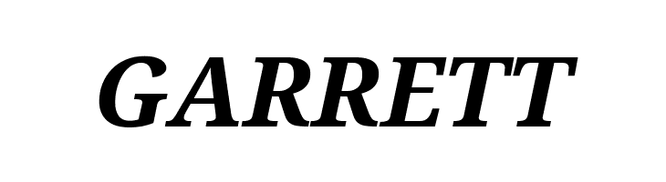 Avrile Serif Bold Italic  Free Fonts Download
