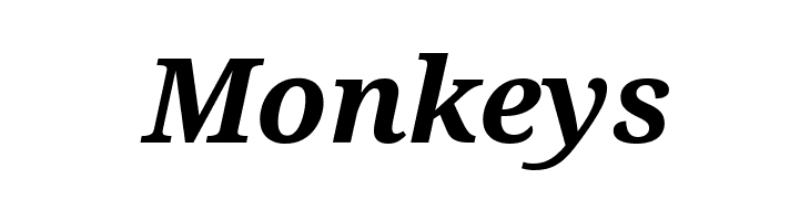 Avrile Serif Bold Italic  Free Fonts Download