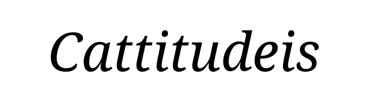 Avrile Serif Italic  Free Fonts Download