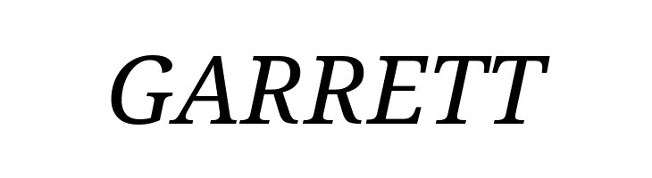 Avrile Serif Italic  Free Fonts Download