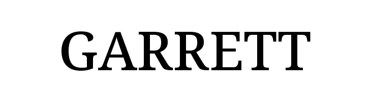 Avrile Serif Medium  Free Fonts Download