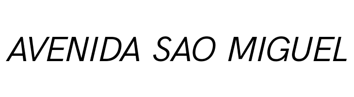 Acari Sans Italic  Free Fonts Download