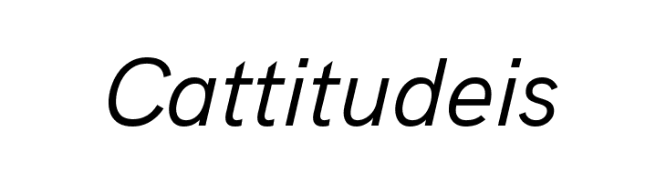 Acari Sans Italic  Free Fonts Download