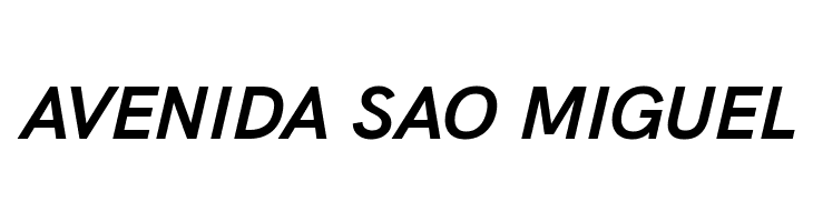 Acari Sans Bold Italic  Free Fonts Download