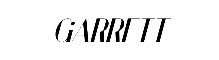 Vanity-BoldItalic  Free Fonts Download