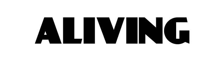 Day Poster Black NF  Free Fonts Download