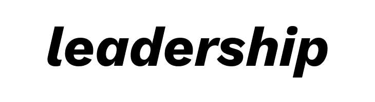 Work Sans Bold Italic  Free Fonts Download