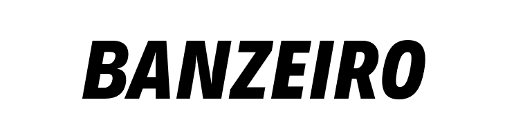 Decalotype ExtraBold Italic  Free Fonts Download