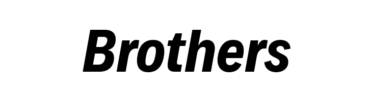 Decalotype Bold Italic  Free Fonts Download