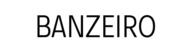 Decalotype Light  Free Fonts Download