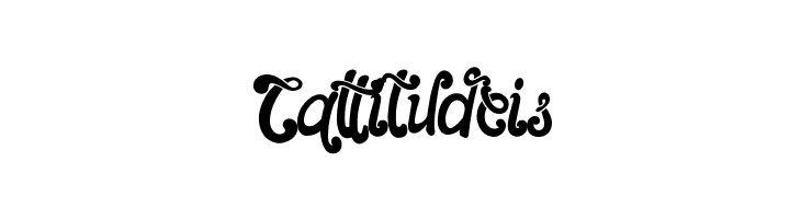 The Foughe Script  Free Fonts Download