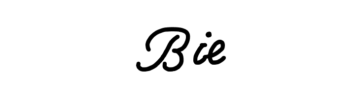 Write Righ Script  Free Fonts Download