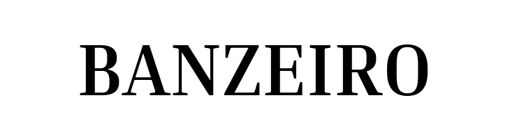 Inria Serif Bold  Free Fonts Download