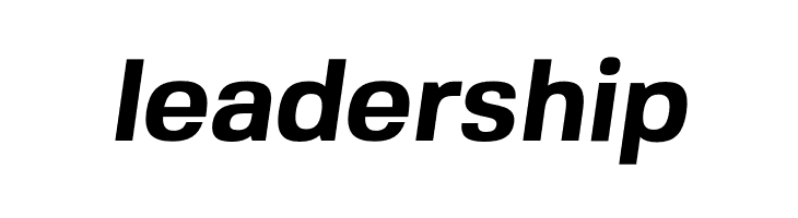 FivoSans-BoldOblique  Free Fonts Download