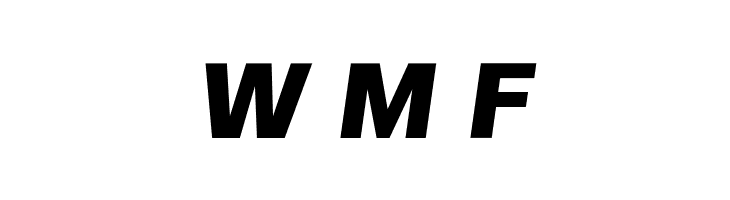 FivoSans-HeavyOblique  Free Fonts Download