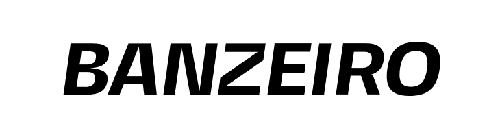 FivoSansModern-BoldOblique  Free Fonts Download