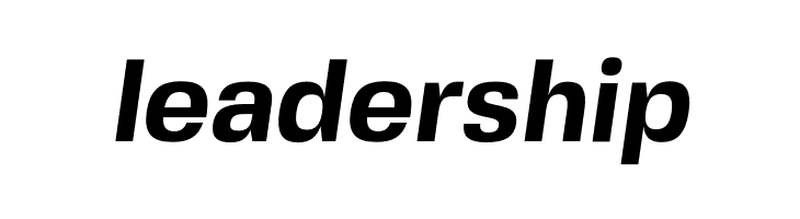 FivoSansModern-BoldOblique  Free Fonts Download