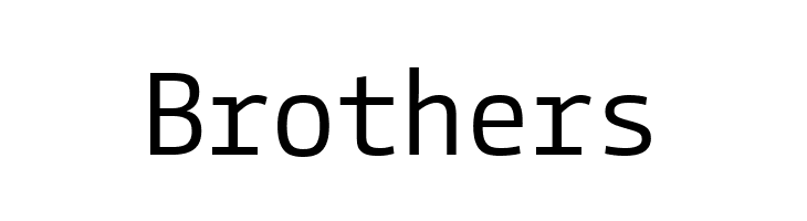 CamingoCode Regular  Free Fonts Download