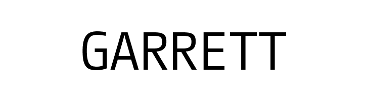 CamingoCode Regular  Free Fonts Download