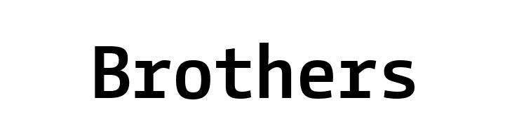 CamingoCode Bold  Free Fonts Download