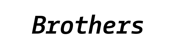 CamingoCode Bold Italic  Free Fonts Download