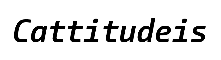 CamingoCode Bold Italic  Free Fonts Download