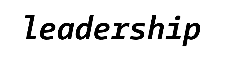 CamingoCode Bold Italic  Free Fonts Download