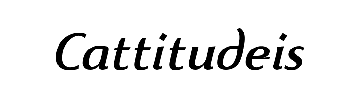 Beatrix Antiqua Medium Italic  Free Fonts Download