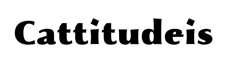 Beatrix Antiqua Black  Free Fonts Download